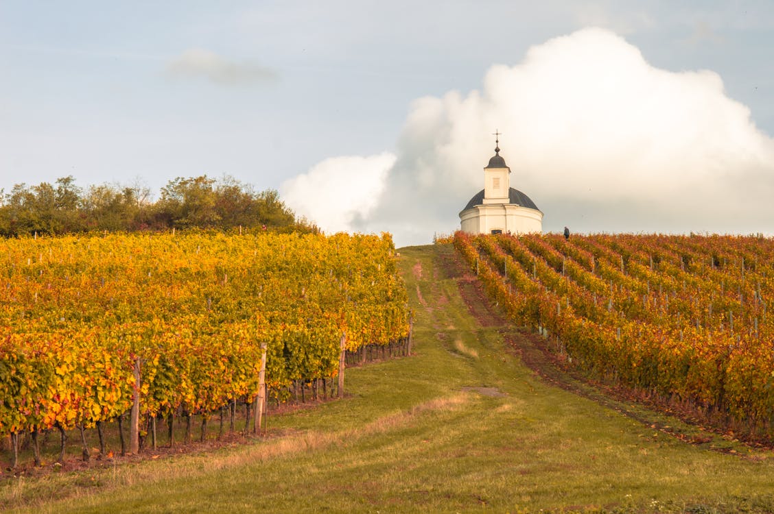 How to Sell California Land in a Trust?